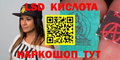 стаф Свободный