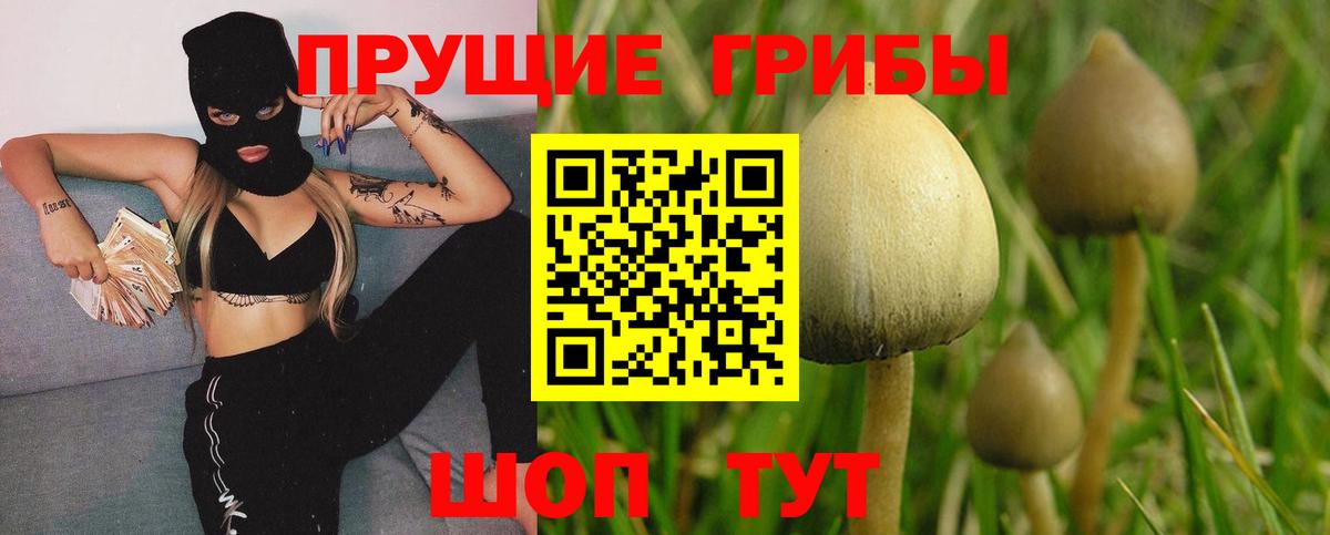 что такое   Вход с VPN  Архангельск  Псилоцибиновые грибы мицелий 